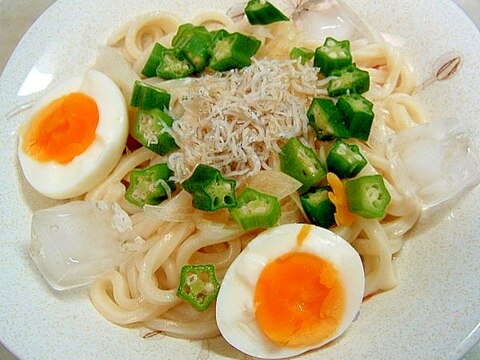 オクラのせ　ぶっかけうどん